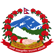 associate-npl